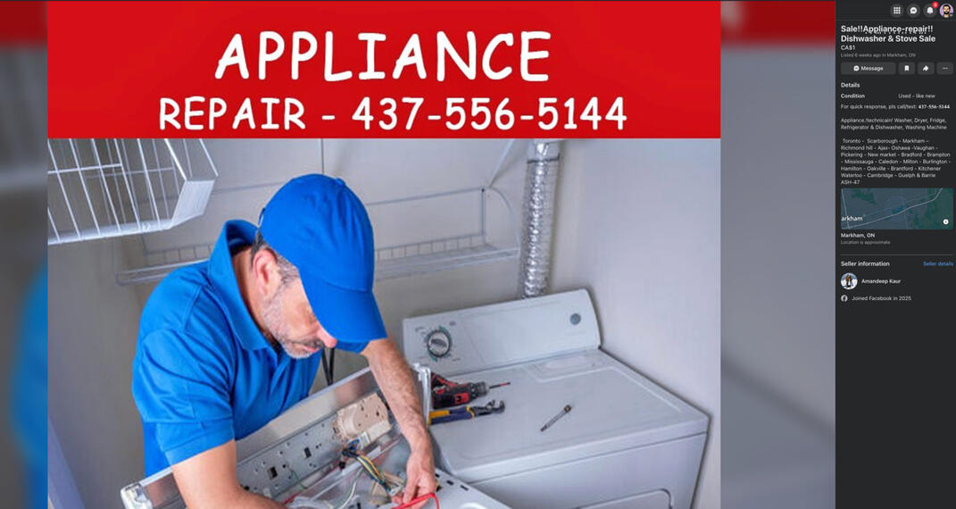 Fake ad example 2