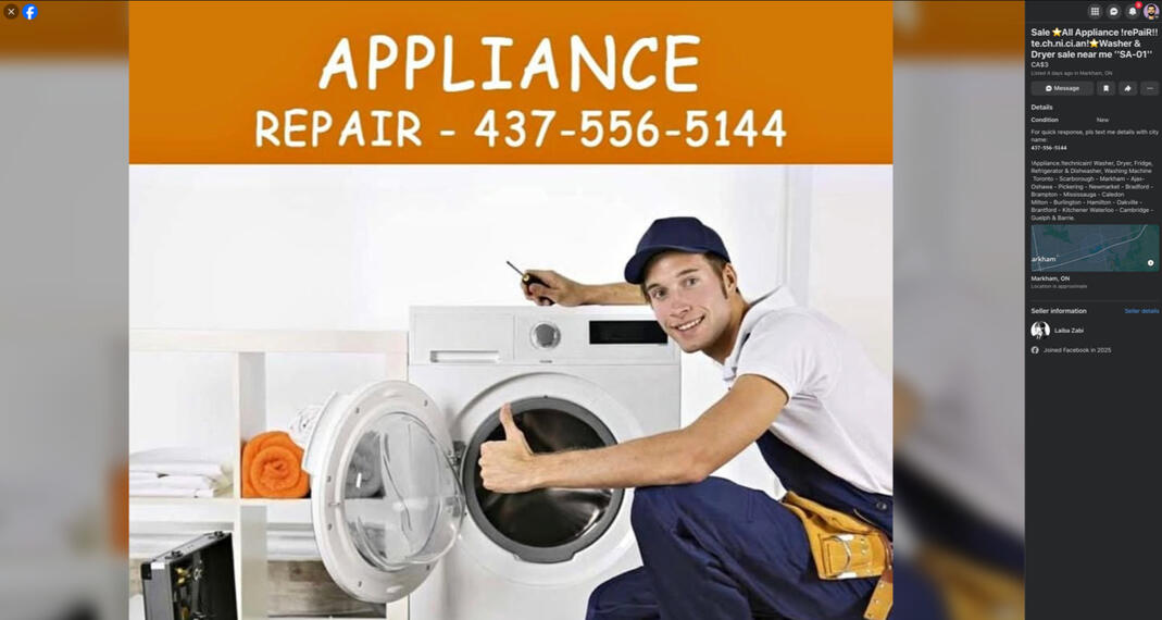 Fake ad example 3